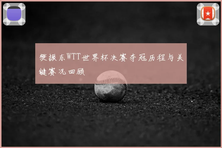 樊振东WTT世界杯决赛夺冠历程与关键赛况回顾