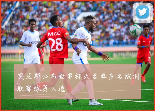 突尼斯公布世界杯大名单多名欧洲联赛球员入选