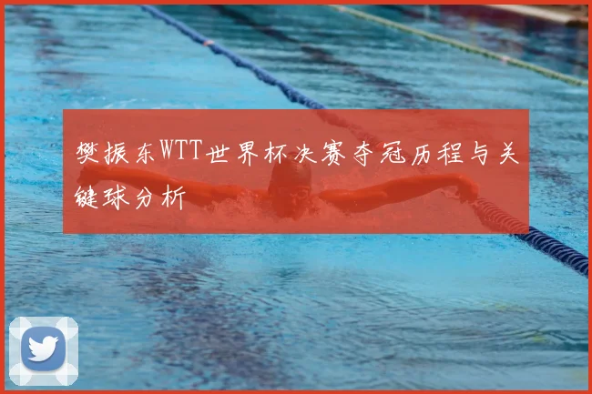 樊振东WTT世界杯决赛夺冠历程与关键球分析