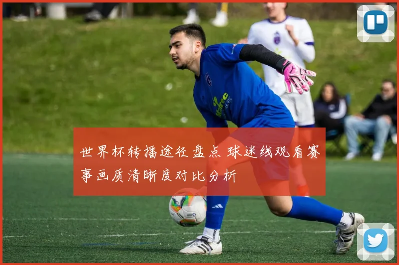 世界杯转播途径盘点 球迷线观看赛事画质清晰度对比分析