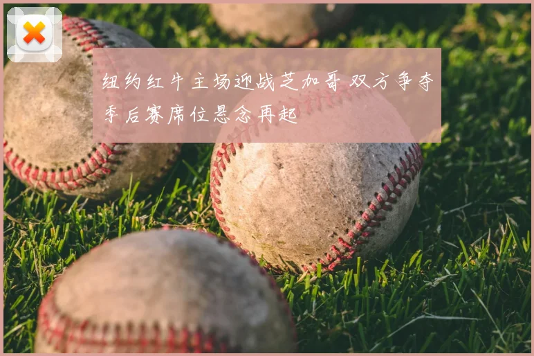 纽约红牛主场迎战芝加哥 双方争夺季后赛席位悬念再起