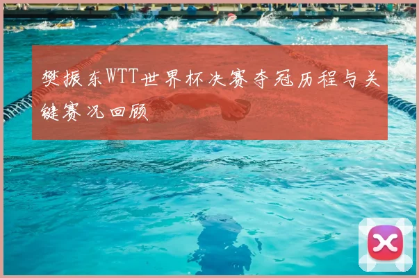 樊振东WTT世界杯决赛夺冠历程与关键赛况回顾